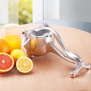 Press fruit juicer